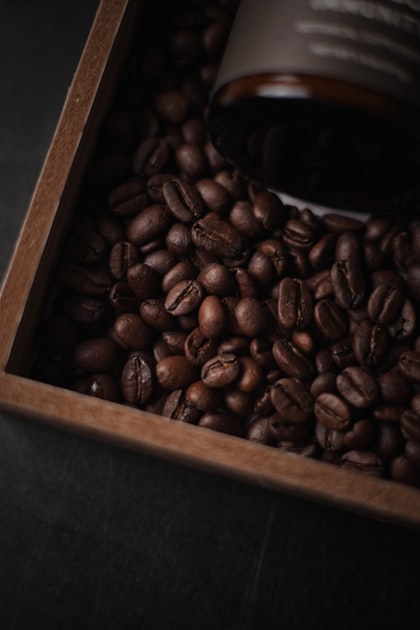 The Art of Brewing Espresso