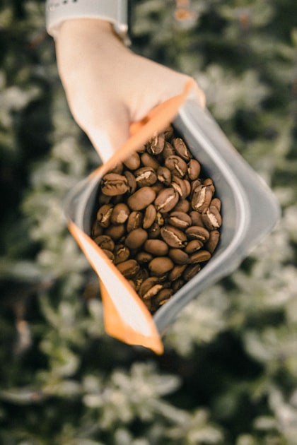 Understanding Coffee Roasts