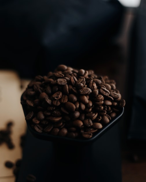 Coffee Gift Packs for Every Occasion