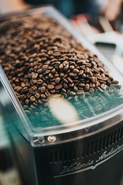 How to Brew French Press Coffee