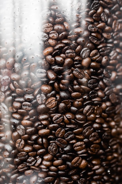 The Perfect Coffee Subscription